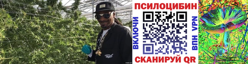цены наркотик  Анива  блэк спрут   Галлюциногенные грибы Cubensis 